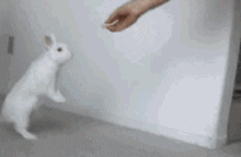 我要|搞笑GIF：我才发现，是在给我打针吗，那我要哭一下