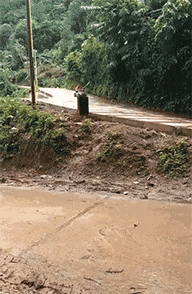 仙人掌|连仙人掌都是爱你的形状...