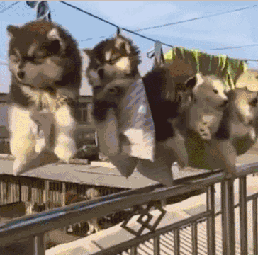 回事|搞笑大合集，这书一直冒气是怎么回事呢