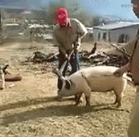 妹子|伤敌一千,自损一千五?