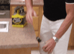 主人|「爆笑Gif动图」主人我终于把你盼回来了