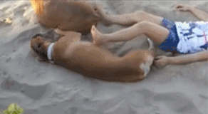 搞笑|搞笑gif,个个都是人才,说话又好听,超喜欢在里面