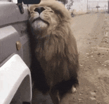 妹子|搞笑GIF趣图:家里没有电视机,只能用手机凑合着看了