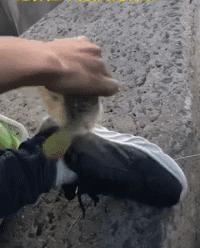 套路|三轮大妈转弯太任性了，车主神操作...