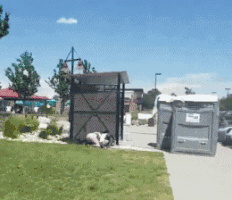 车子|搞笑GIF:这大爷一看就是汉子,车子说不要就不要了!