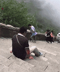 妹子|搞笑GIF:超可爱的妹子喜欢吗