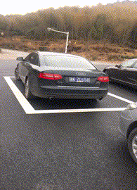 多人|搞笑GIF趣图：还是第一次见健身房里面有这么多人