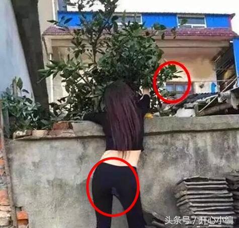 小娘|小娘们一言不合就趴墙头,隔壁大叔乐坏了,细心的王大妈找到亮点