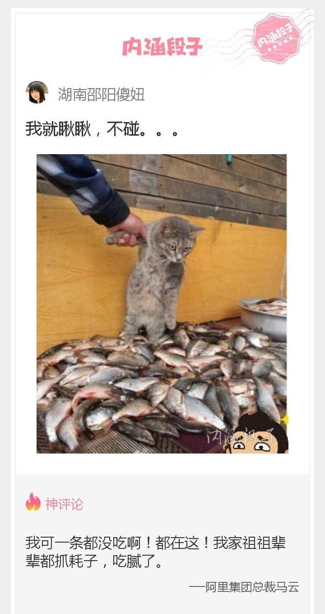 这根|内涵神评论:上学的时候多想拉开这根绳子啊!