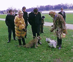 白脸|搞笑GIF:你就是我妈养的小白脸？！