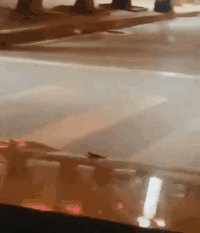 白米饭|搞笑GIF动图:大哥,你就是传说中只吃白米饭的白菜侠吧!