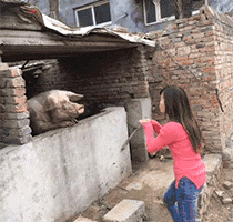 妹子|搞笑GIF趣图：别人都穿着羽绒服，而你却穿短袖，确实很优秀啊