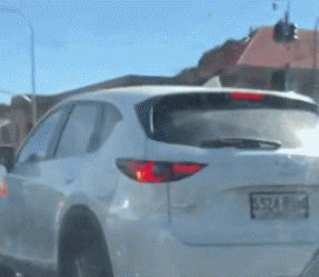 哥们|搞笑GIF：拍照的老师要怒了