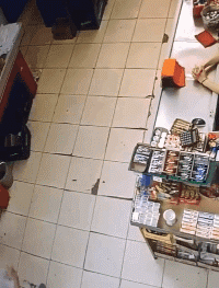 车展|搞笑GIF：我是来看车展的，真的！！