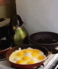 就是|一场姐弟大战即将爆发,大家猜猜谁会赢得最终的胜利?