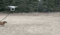 赛车|搞笑GIF趣图:大哥，转个弯就掉下去了，你可是赛车手啊！