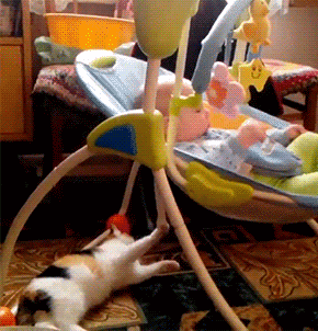 手机壳|GIF搞笑趣图：这孩子，你就不能小心点吗？上次的伤还没好呢