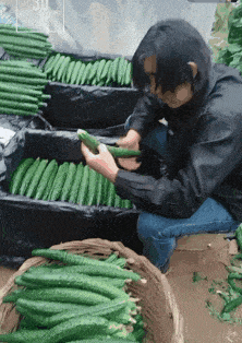 姨夫|搞笑gif趣图：这种狗给我来一只好不好