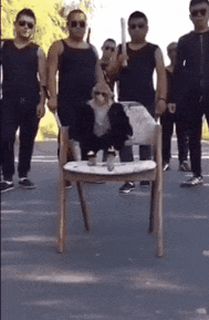 绝技|笑话：我给你表演个现在在同龄人中，已经基本失传的绝技！