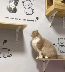 哥们|搞笑GIF:说好的彼此的信任呢