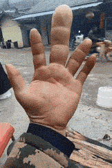 搞笑趣图怎么和我说话呢注意你的态度