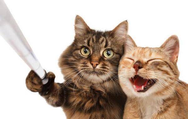 不好|轻松一笑：上台的都是帅哥和美女，你就别去拖人家后腿了！