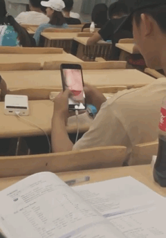 厉害|GIF搞笑趣图：竟然可以抓到老鼠！