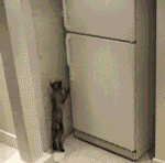 男朋友|有种男友叫别人家的男朋友。