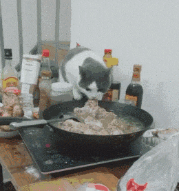 丰衣足食|?不让我吃,我自己下手丰衣足食!