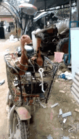 全行|搞笑GIF趣图:道路积水,村里的老少爷们全行动起来了