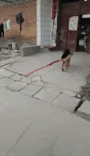 梦想|搞笑GIF:自拍了,要文静,要保持形象