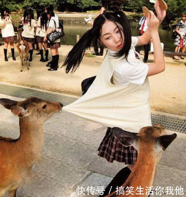 妹子|搞笑GIF动图： 妹子, 你别想跑了