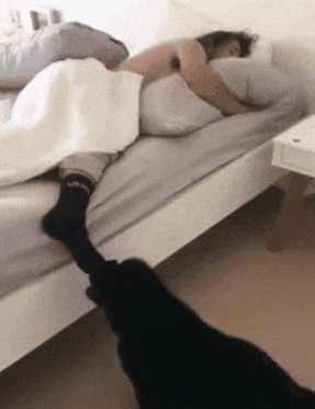 茶缸子|搞笑GIF：姑娘，你用裙子也能捕到鱼呀！厉害了哈