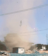 这是|搞笑GIF趣图:我裤子都脱了,你却给我看这个