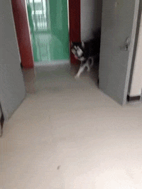 妹子|搞笑GIF：大妈赶紧再尬一段广场舞