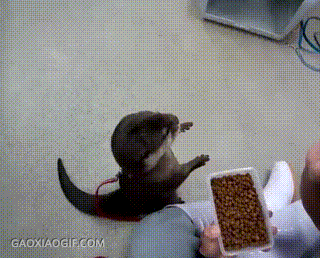 国人|搞笑gif:终于知道歪国人为什么那么少了