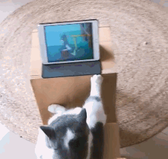 东西|GIF搞笑趣图：你这拿的东西太多了