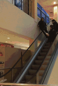 沙雕|搞笑GIF:看看什么是护食,果然是狗粮!