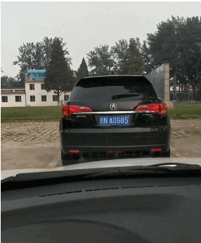 妹子|搞笑gif趣图:但凡妹子们有一个说真话,我就不会单身到现在!