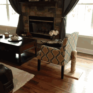 妹子|搞笑GIF：原来要想击败一个猛男就是这样的简单呀!你们懂了吗？