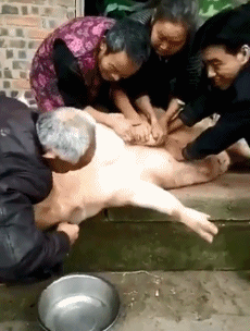 哥们|这位哥们的弹跳力真是惊人,可以轻松的跳跃这么高