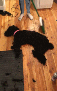 还是|搞笑GIF趣图：妹子，你到底是冲浪呢，还是太浪呢