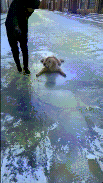 跟斗|搞笑GIF:这教学我给100分,不过成本有点高!