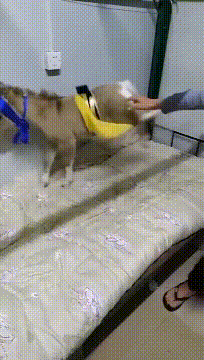 清华|搞笑GIF:这回知道我为啥能考上清华了吧?