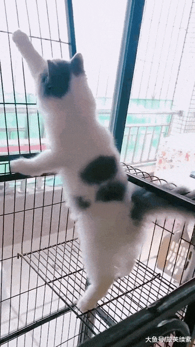 这是|搞笑GIF: 这是想打喷嚏却打不出来的你