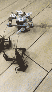 妹子|搞笑GIF趣图：台风确实好大哦，吹得摄影师拿不住机器