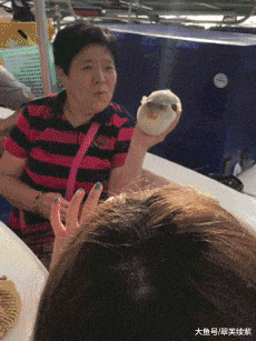 大爷|搞笑GIF：快还是你快，对不对另说