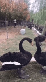 妹子|搞笑趣图:虽然很久的图了,但是我觉着很有意思