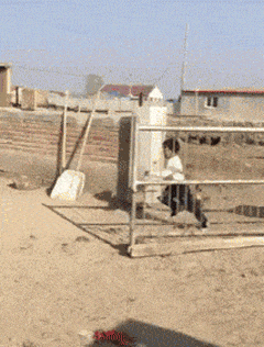 孩子|搞笑GIF：熊孩子：敌不动我不动！