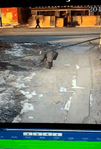 口罩|搞笑GIF: 小姐姐口罩真是让你用到了极致